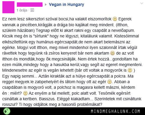 vegan-eger